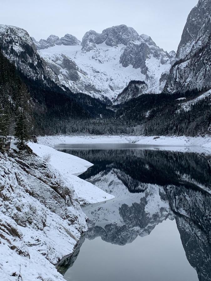 Dachstein Mountainview *