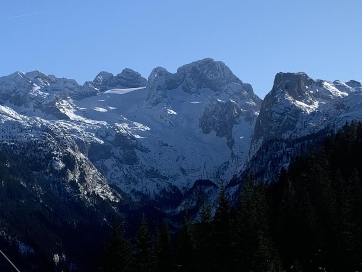 Dachstein Mountainview Apartment Gosau