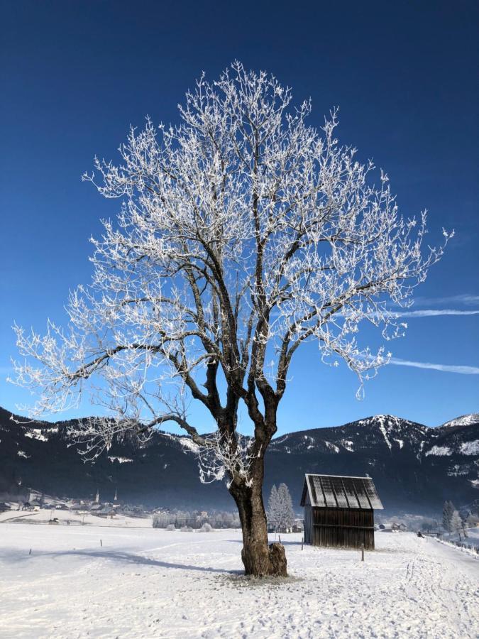 Apartment Dachstein Mountainview