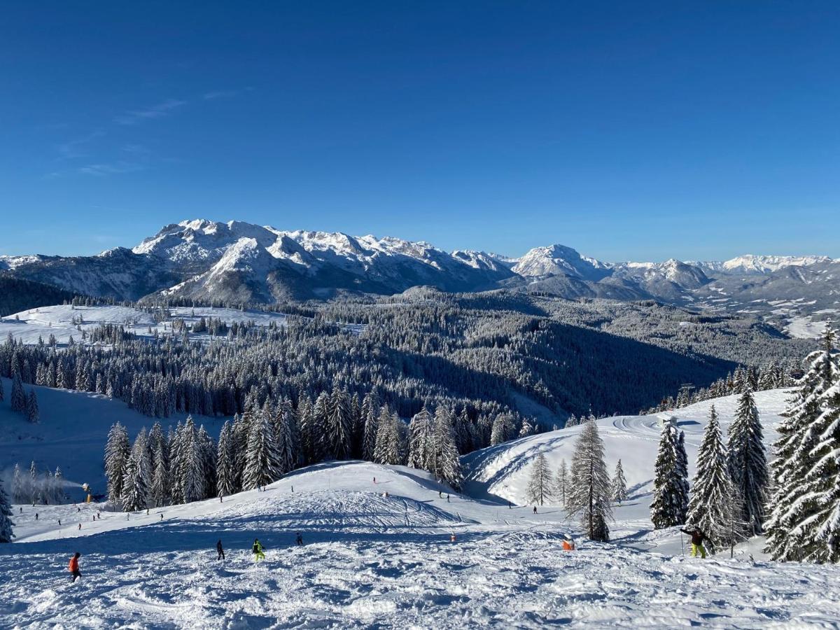 Dachstein Mountainview Gosau