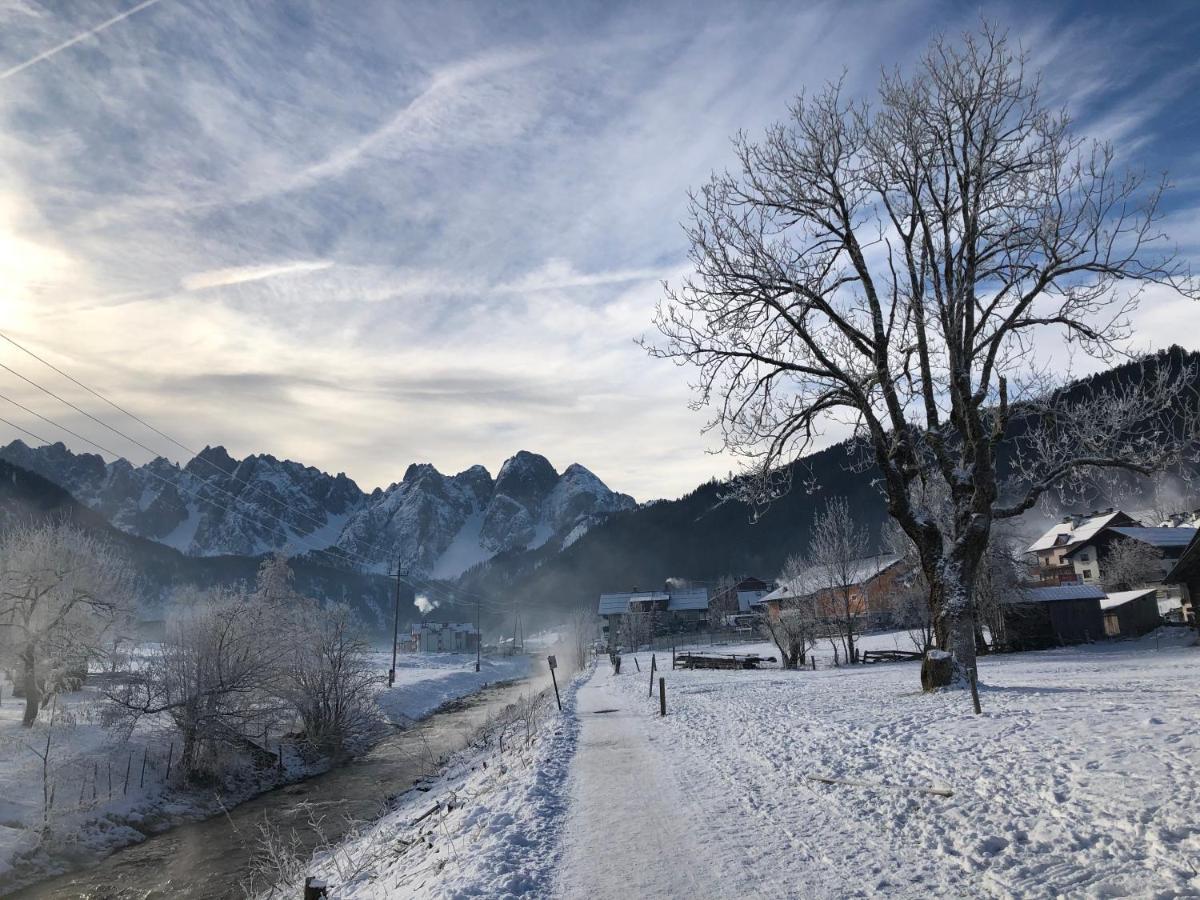 Dachstein Mountainview Apartment