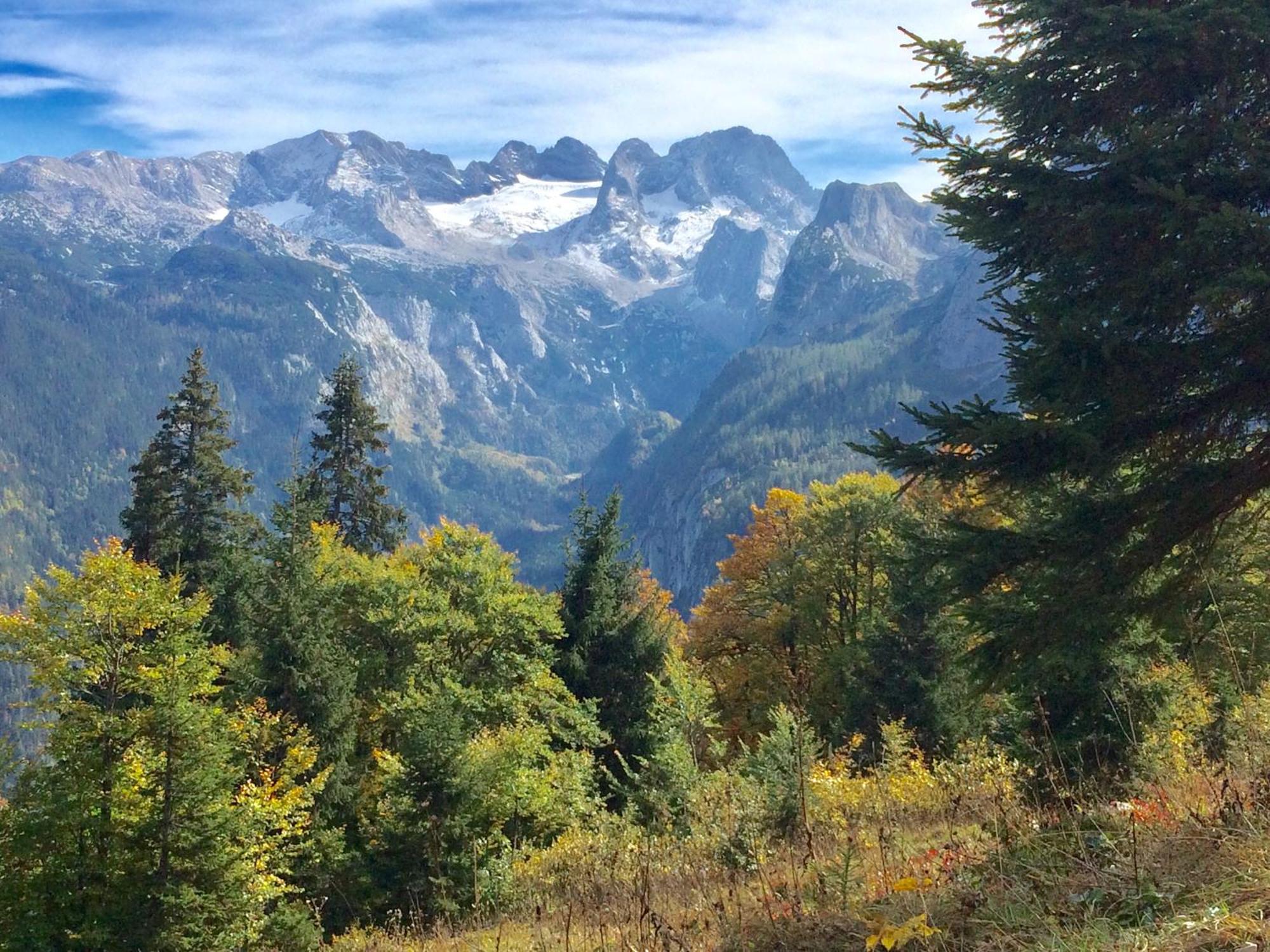 Apartment Dachstein Mountainview *