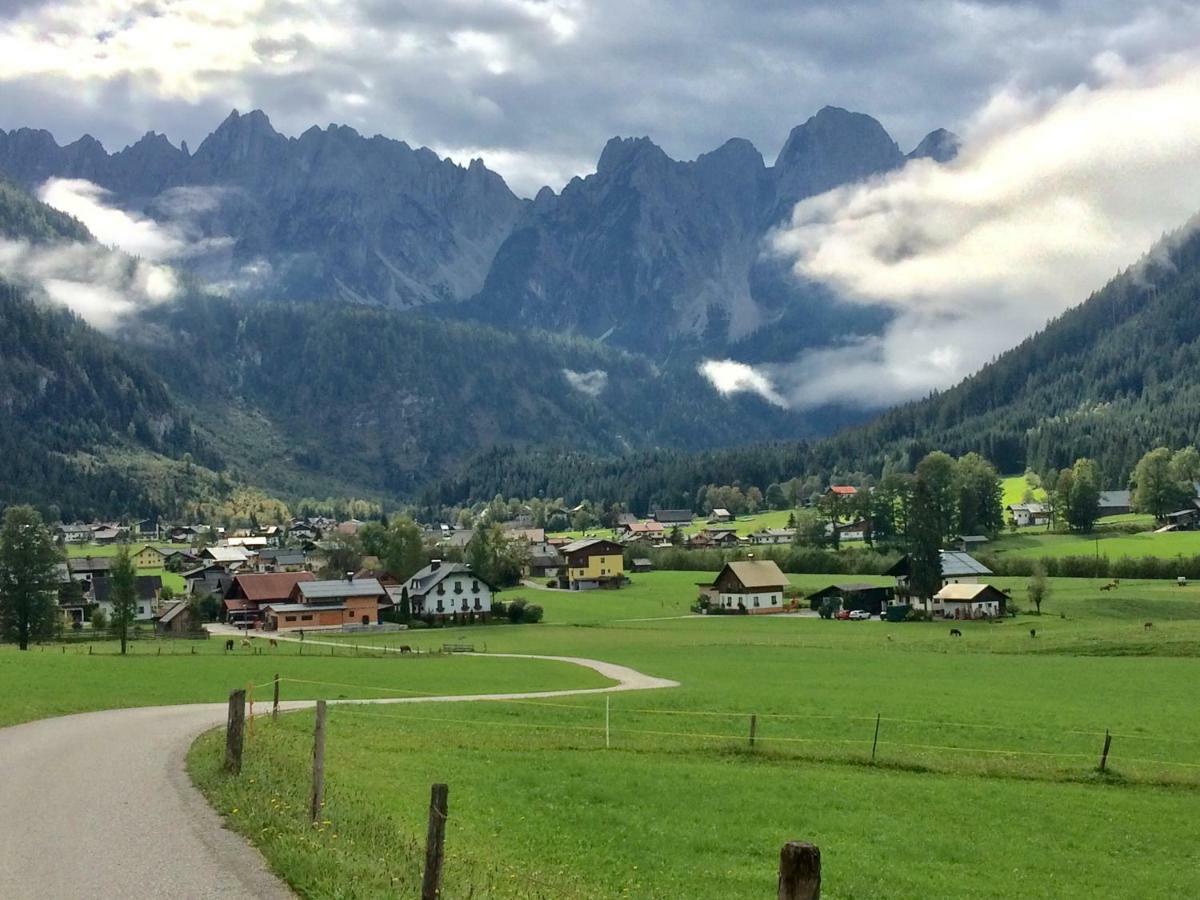 Apartment Dachstein Mountainview