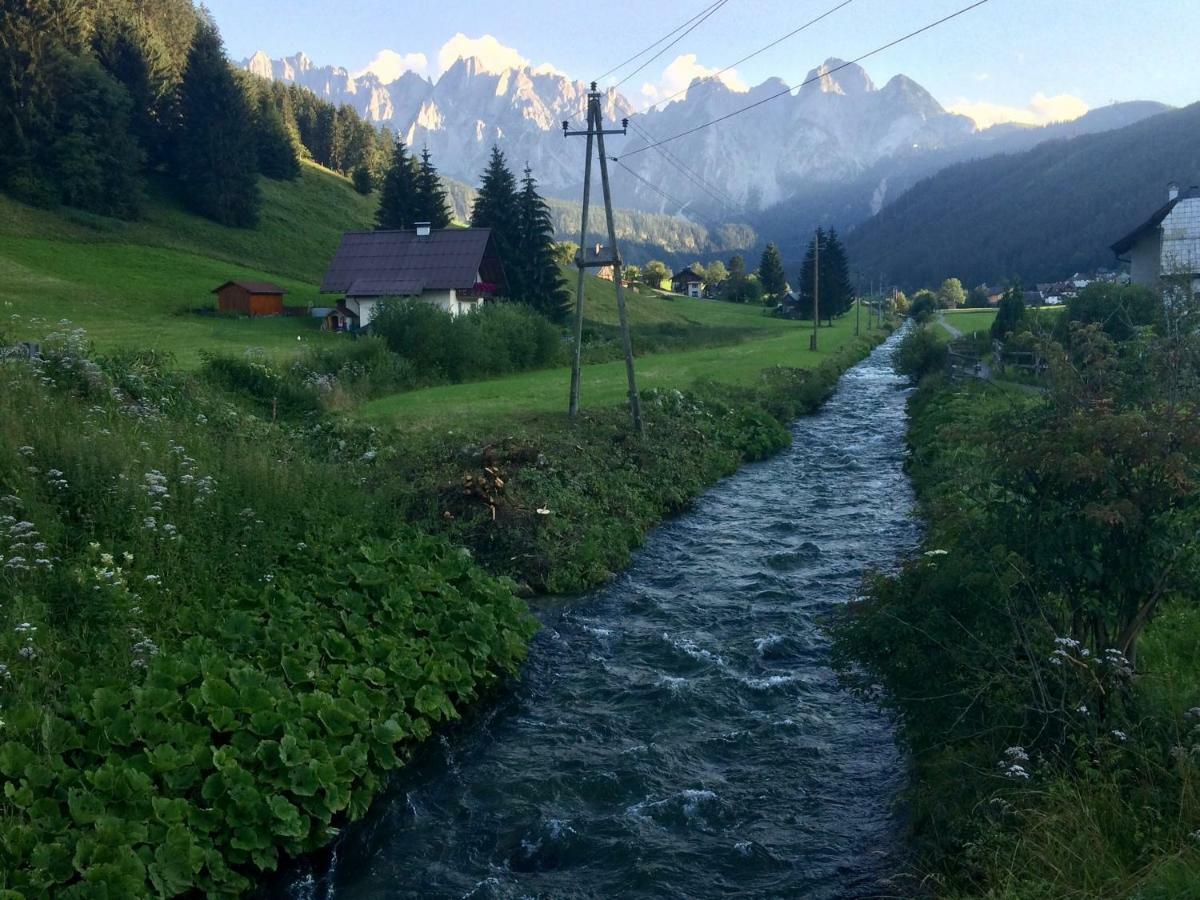 Apartment Dachstein Mountainview *
