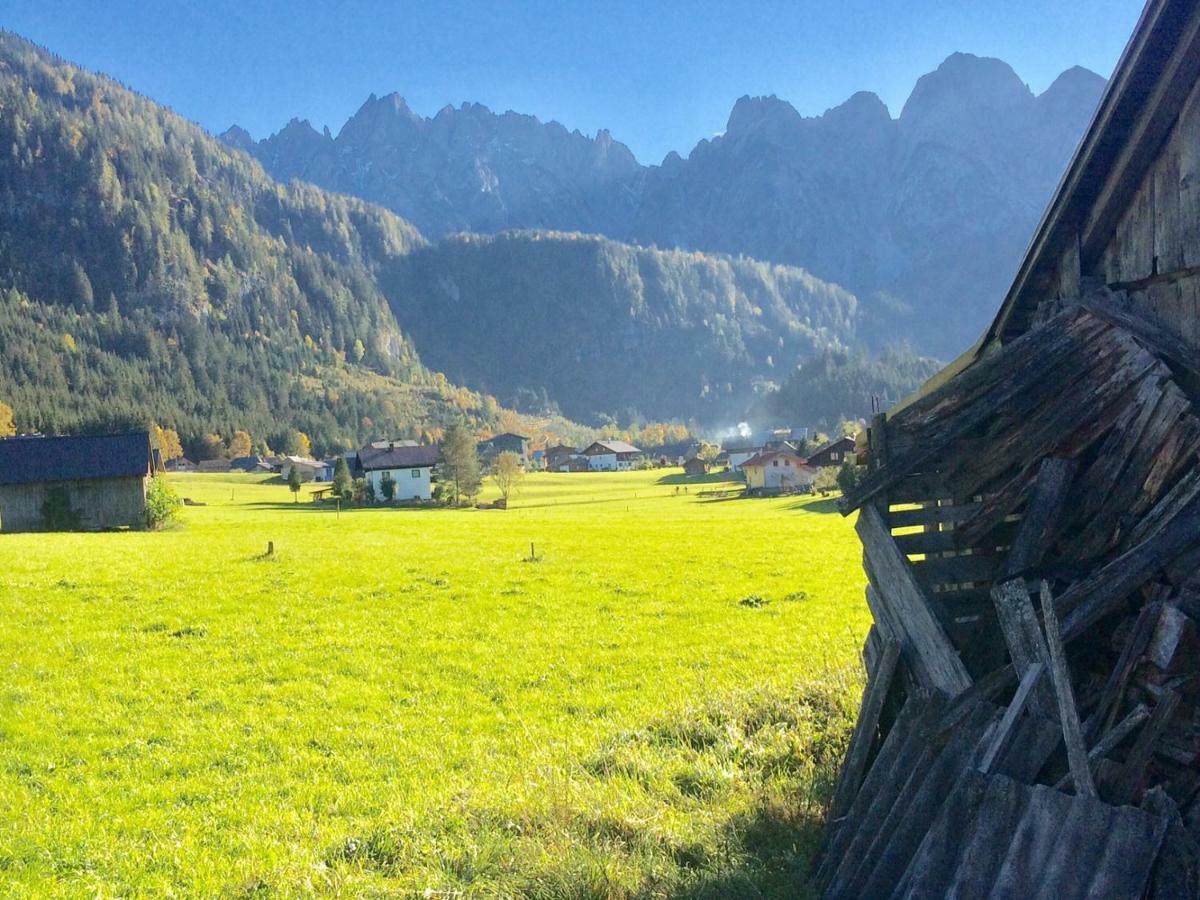 Dachstein Mountainview Apartment