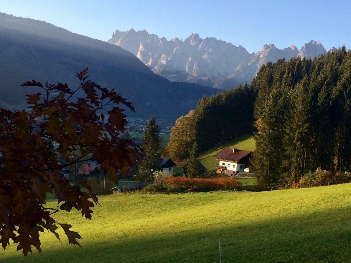Dachstein Mountainview Apartment *