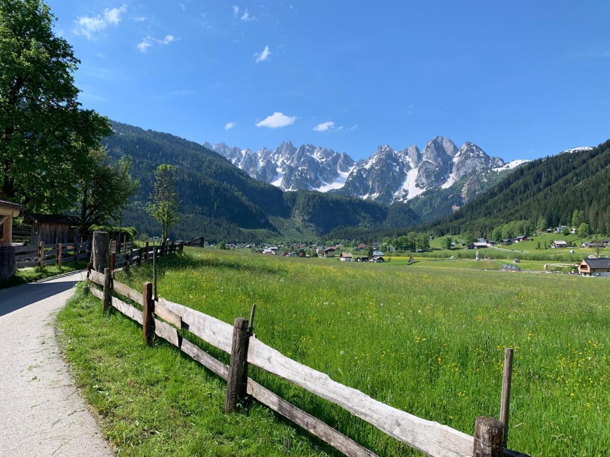 Apartment Dachstein Mountainview Gosau